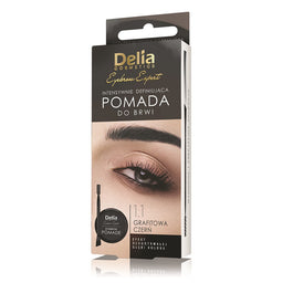 Delia Eyebrow Expert pomada do brwi