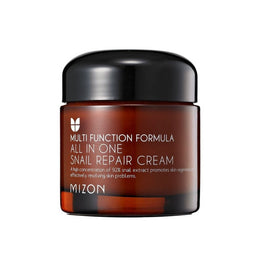 Mizon Multi Function Formula All in One Snail Repair Cream wielofunkcyjny krem do twarzy 75ml