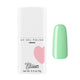 Elisium Colour UV Gel Polish lakier hybrydowy 9g