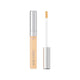 L'Oreal Paris True Match All in One korektor