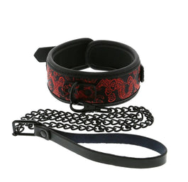 Dream Toys Blaze Deluxe Collar & Leash obroża ze smyczą