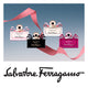 Salvatore Ferragamo Signorina woda perfumowana spray