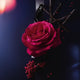 Lancome Tresor La Nuit A La Folie woda perfumowana spray