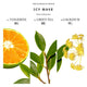 Bibliotheque de Parfum Icy Wave woda perfumowana