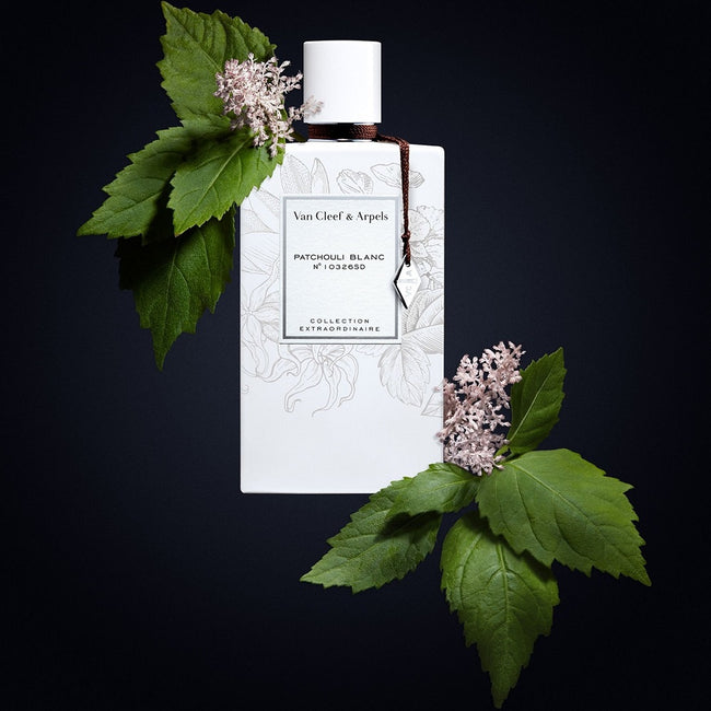 Van Cleef&Arpels Collection Extraordinaire Patchouli Blanc woda perfumowana spray