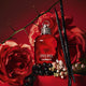 Cacharel Amor Amor zestaw woda toaletowa spray 50ml + balsam do ciała 2x50ml
