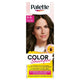 Palette Color Shampoo szampon koloryzujący do włosów