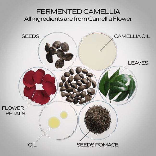 Shiseido Ultimune Power Infusing Serum 4.0 przeciwstarzeniowe serum do twarzy 75ml