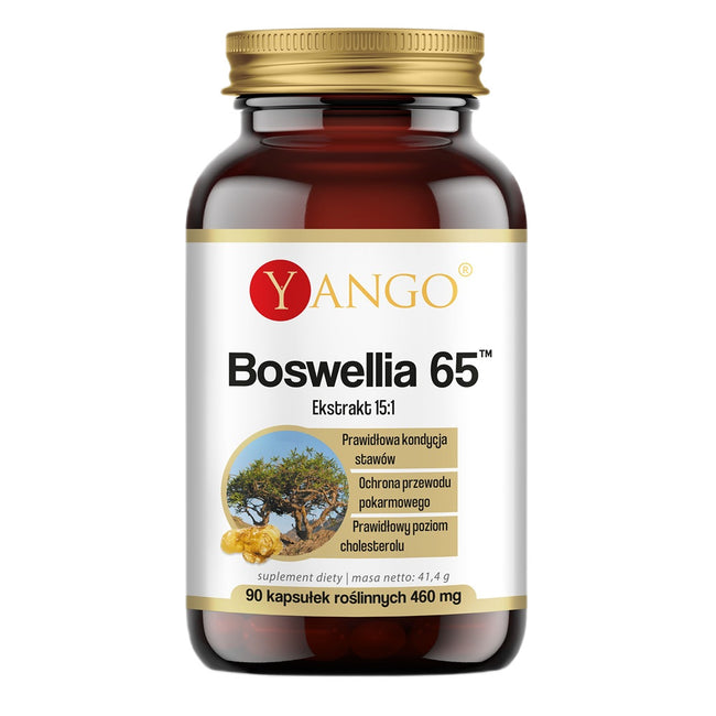 Yango Boswellia 65 suplement diety 90 kapsułek