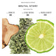 Bibliotheque de Parfum Brutal Story woda perfumowana spray