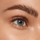 Catrice Lift & Laminate Brow Gel żel do brwi 5g