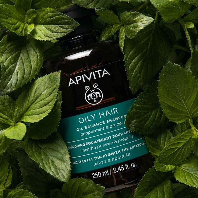 Apivita Oily Hair Oil Balance Shampoo szampon regulujący przetłuszczanie z miętą i propolisem 250ml