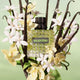 Valentino Donna Born in Roma Green Stravaganza woda perfumowana spray