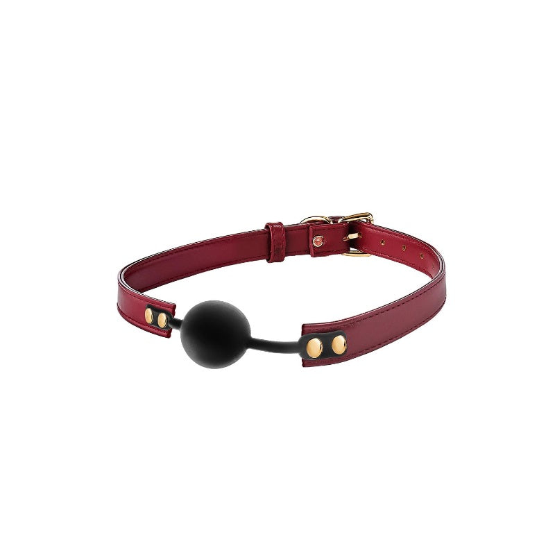 Dream Toys Blaze Elite BDSM Set zestaw pejcz + packa +