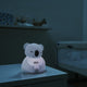 Chicco Sweet Lights miękka lampka Miś Koala