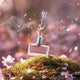 Aurora Scents Deciduous Spring woda perfumowana