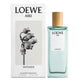 Loewe Aire Anthesis woda perfumowana