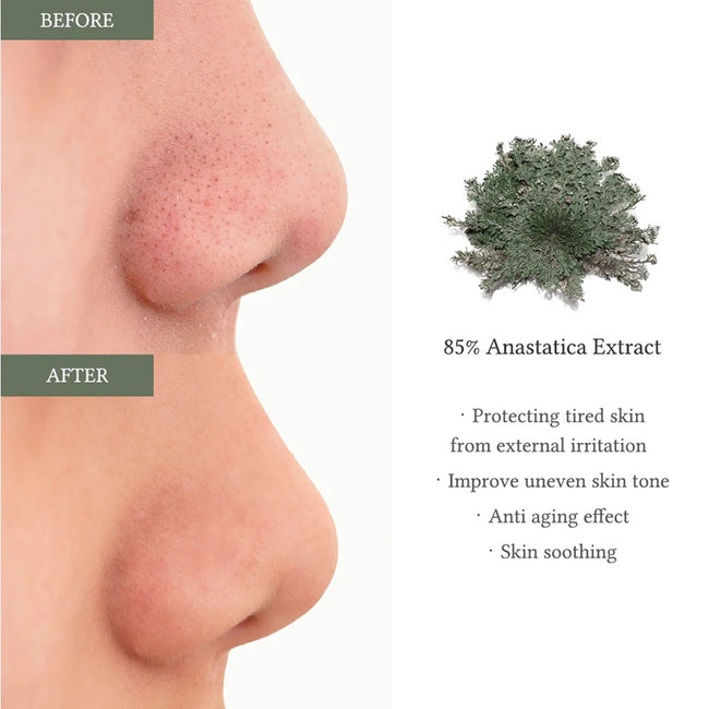 Dr. Althea 85% Anastatica Skin Conditioning Pad tonizujące płatki nawilżające z ekstraktem z róży jerychońskiej 65szt