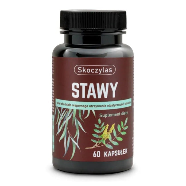 Skoczylas Stawy suplement diety 60 kapsułek