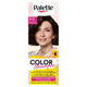 Palette Color Shampoo szampon koloryzujący do włosów