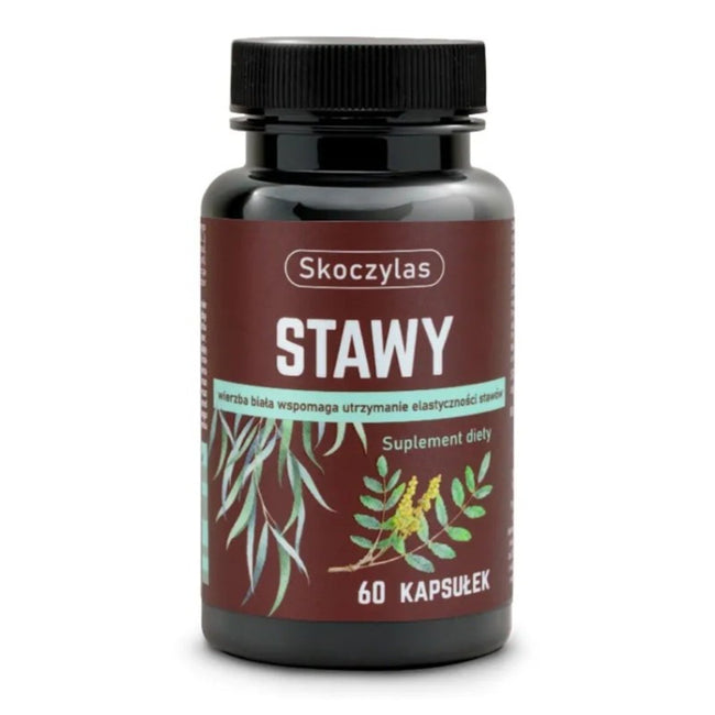 Skoczylas Stawy suplement diety 60 kapsułek