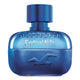 Hollister Festival Nite For Him woda toaletowa spray