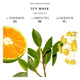 Bibliotheque de Parfum Icy Wave woda perfumowana