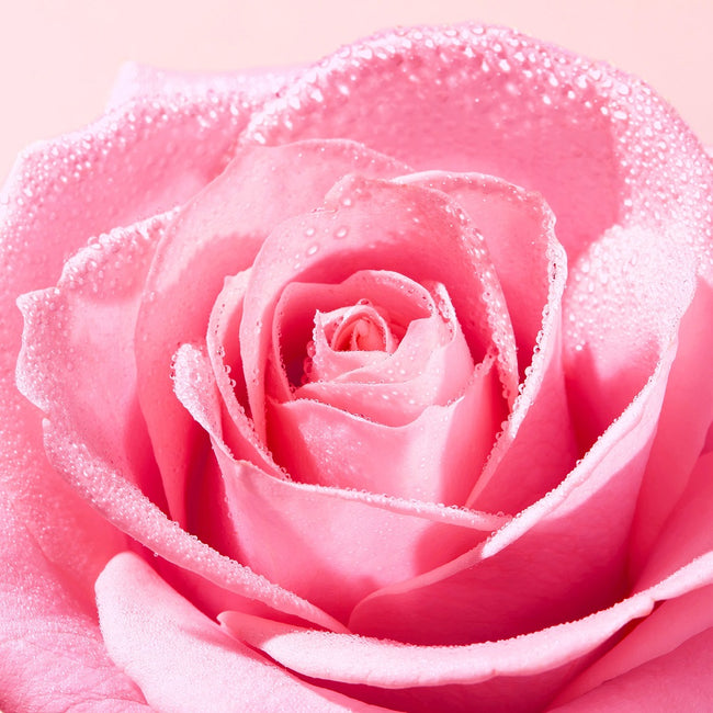 Nuxe Very Rose łagodząca woda micelarna 400ml