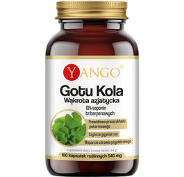 Yango Gotu Kola wąkrota azjatycka ekstrakt 10% saponin triterpenowych suplement diety 100 kapsułek