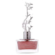 Aurora Scents Deciduous Spring woda perfumowana