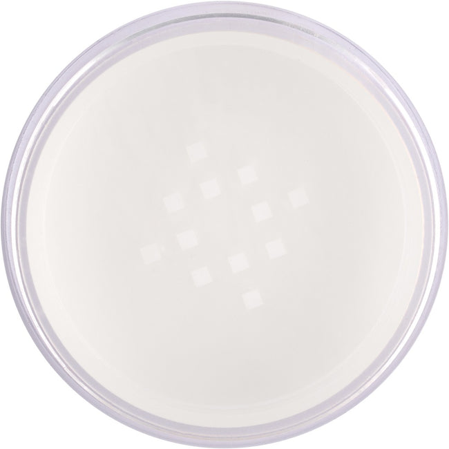Wibo Serum Powder odżywczy puder do twarzy 10g