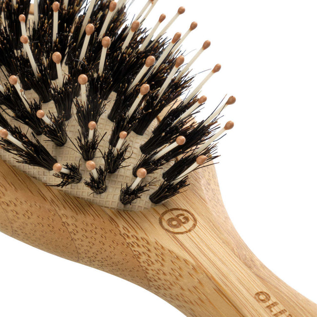 Olivia Garden Bamboo Touch Detangle Combo szczotka z włosiem z dzika do rozczesywania włosów S