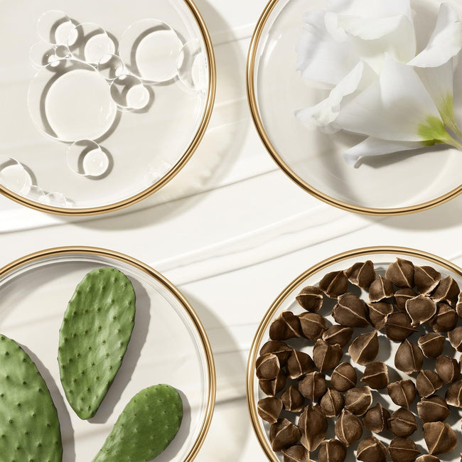 Estée Lauder Revitalizing Supreme+ Youth Power Soft Creme Moisturizer delikatny ujędrniający krem do twarzy 75ml