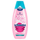 Schauma Fresh it Up! Shampoo szampon do włosów szybko przetłuszczających się 400ml