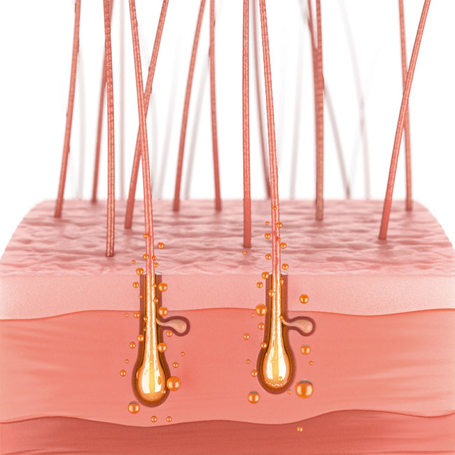 Schwarzkopf Professional BC Bonacure Time Restore Conditioner bogata odżywka do suchych i łamliwych dojrzałych włosów 200ml