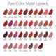 Estée Lauder Pure Color Matte Lipstick matowa pomadka do ust 666 Captivated 3.5g