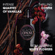 Yves Saint Laurent Black Opium Le Parfum woda perfumowana spray 90ml