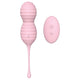 Dream Toys Pleasure Balls&Eggs Beehive wibrujące jajeczko z pilotem Pink