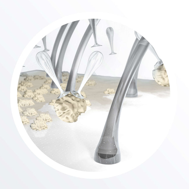 NIOXIN System 5 Cleanser Shampoo oczyszczający szampon do włosów lekko przerzedzonych i poddanych zabiegom chemicznym 300ml