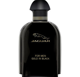 Jaguar Gold In Black For Men woda toaletowa spray
