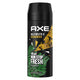 Axe Wild Green Mojito & Cedarwood dezodorant w aerozolu dla mężczyzn 150ml