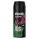 Axe Wild Fresh Bergamot & Pink Pepper dezodorant w aerozolu dla mężczyzn 150ml
