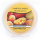 Yankee Candle Scenterpiece Easy Melt Cup wosk do elektrycznego kominka Mango Peach Salsa 61g