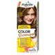 Palette Color Shampoo szampon koloryzujący do włosów do 24 myć 231 (6-0) Jasny Brąz